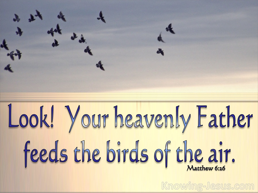Matthew 6:26 Look At The Birds Of The Air (beige)